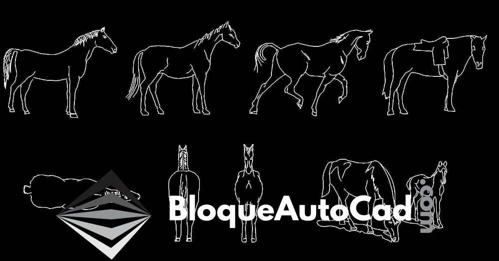 Bloques de Caballos en AutoCAD: Descarga Gratuita en Planta y Alzado 1 Bloques caballos en AutoCAD dwg en planta y alzado CAD blocks